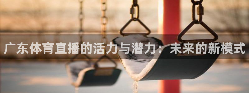51视频在线直播nba：广东体育直播的活力与潜力：未来的新模式