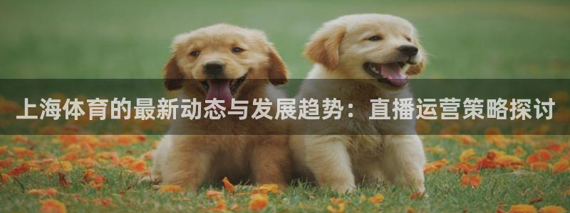 51视频在线直播nba：上海体育的最新动态与发展趋势：直播运营策略探讨