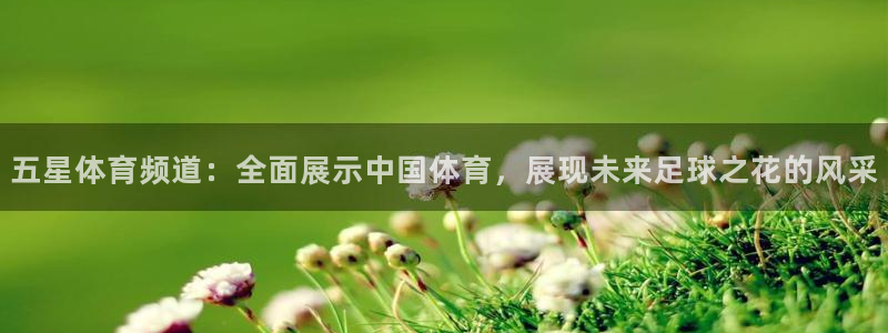 51视频在线直播nba：五星体育频道：全面展示中国体育，展现未来足球之花的风采