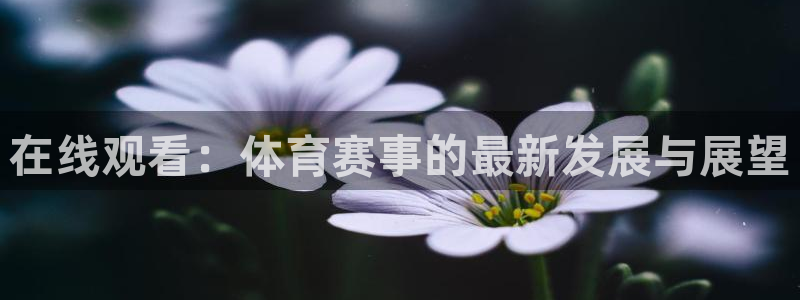 51视频在线直播nba：在线观看：体育赛事的最新发展与展望