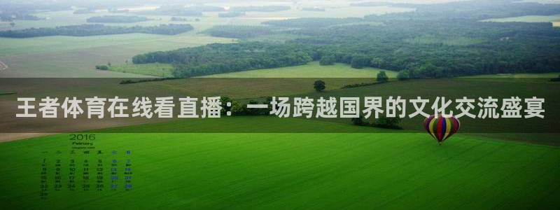 51视频在线直播nba：王者体育在线看直播：一场跨越国界的文化交流盛宴