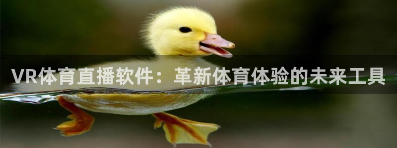 51视频在线直播nba：VR体育直播软件：革新体育体验的未来工具