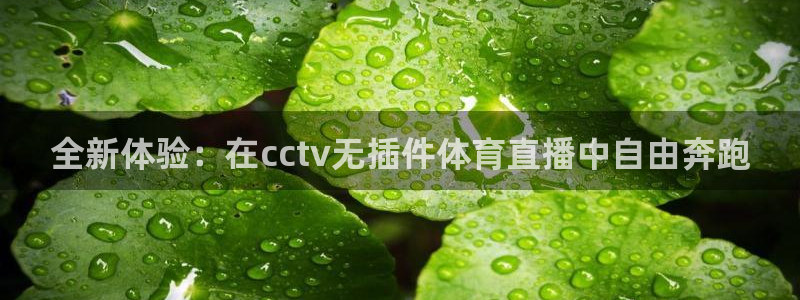 51视频在线直播nba：全新体验：在cctv无插件体育直播中自由奔跑