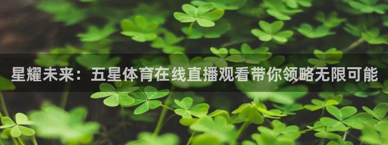 51视频在线直播nba：星耀未来：五星体育在线直播观看带你领略无限可能