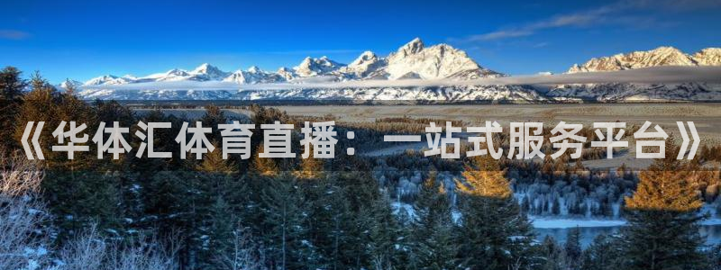 51视频在线直播nba：《华体汇体育直播：一站式服务平台》